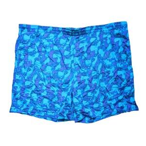 Vintage 90s Chubbie Style Mens Watercolor Nylon Boardshorts